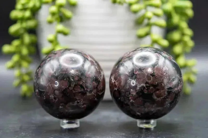 Arfvedsonite w/Garnet Sphere 2.4" - My Crystal Addiction