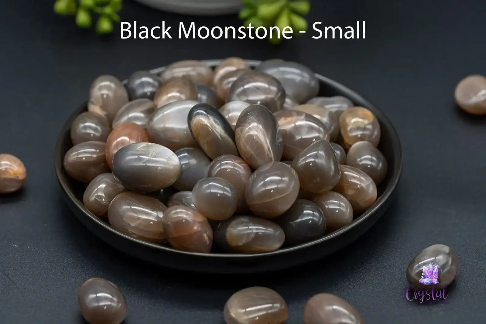 Black Moonstone Tumble - My Crystal Addiction