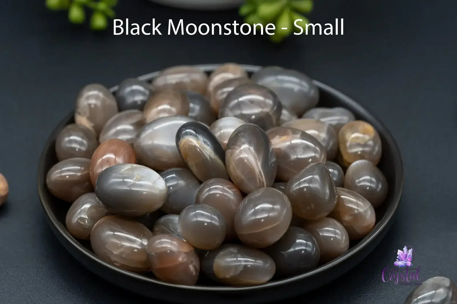 Black Moonstone Tumble - My Crystal Addiction