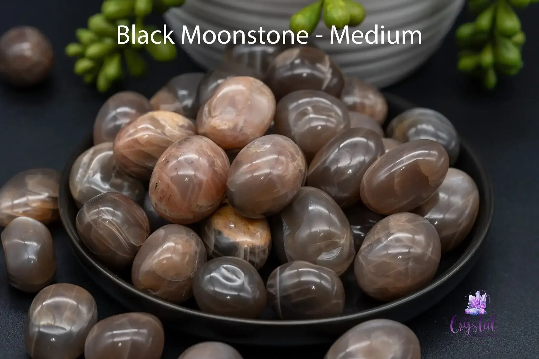 Black Moonstone Tumble - My Crystal Addiction
