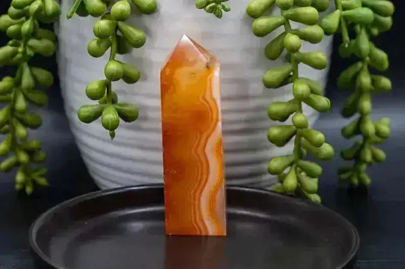 Carnelian Brazilian Tower 3" - My Crystal Addiction
