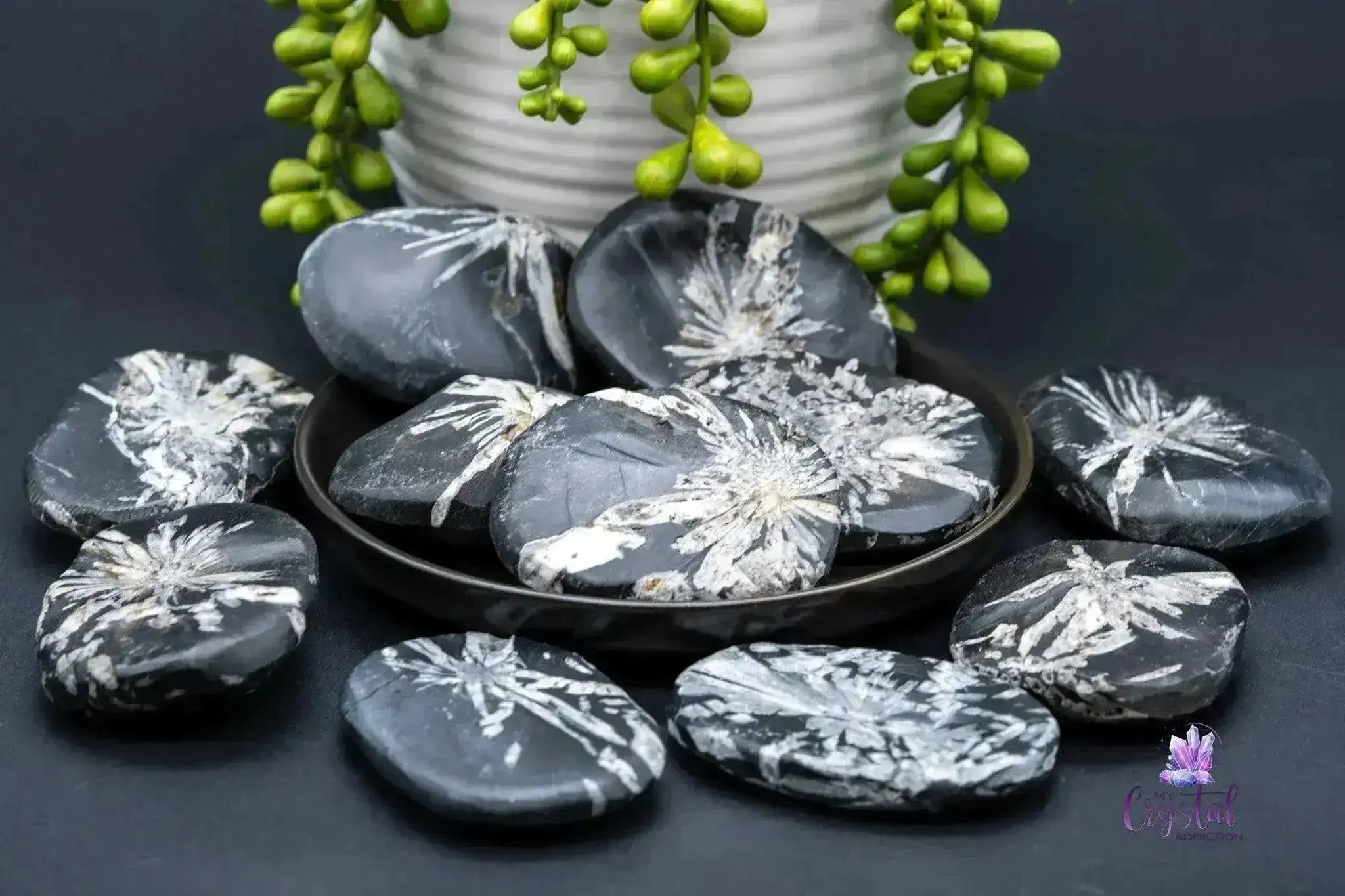 Chrysanthemum Stone Palm Stone - My Crystal Addiction