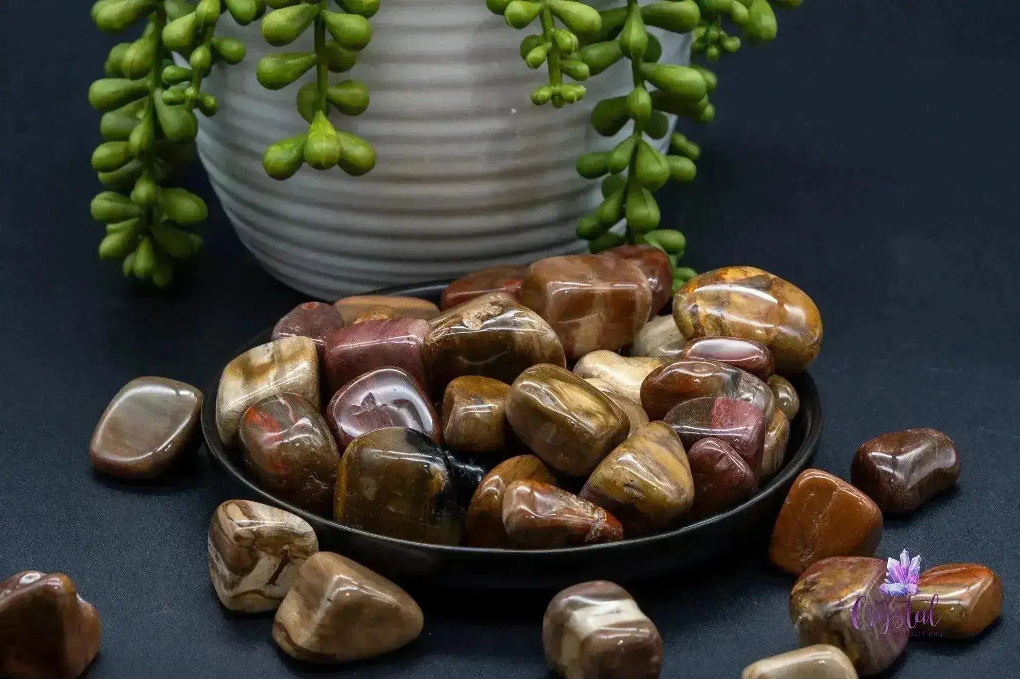 Petrified Wood Tumble - My Crystal Addiction