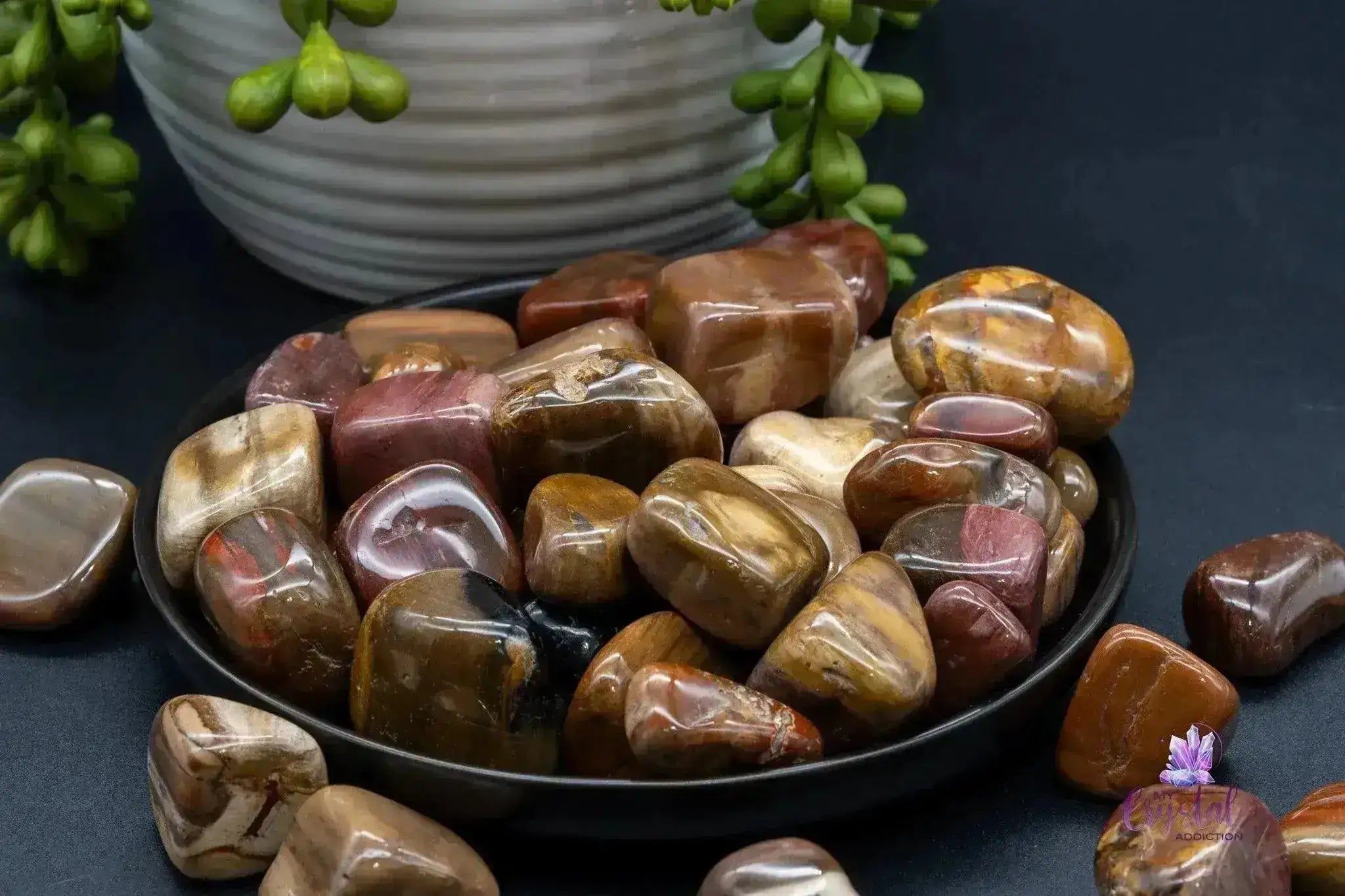 Petrified Wood Tumble - My Crystal Addiction