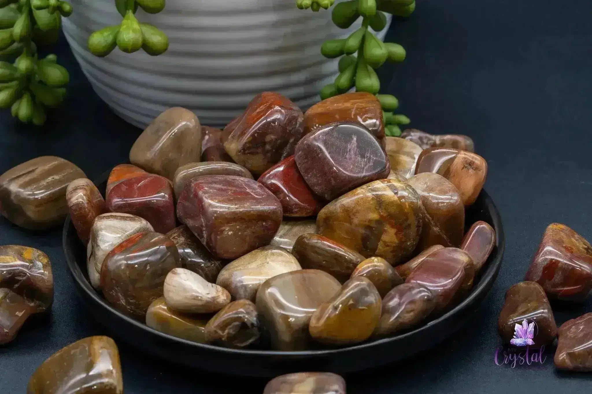 Petrified Wood Tumble - My Crystal Addiction