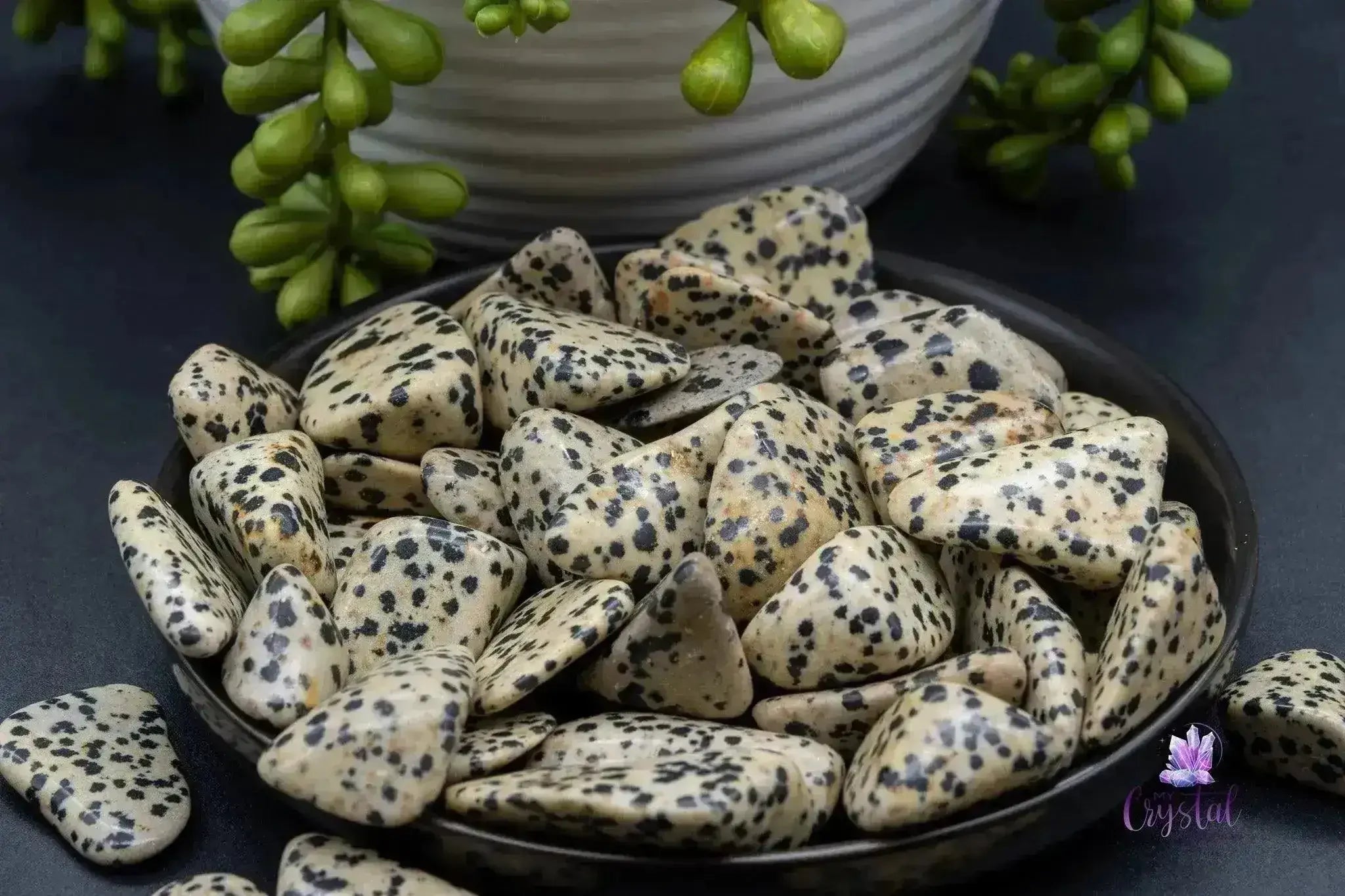Dalmatian Jasper Tumble - My Crystal Addiction