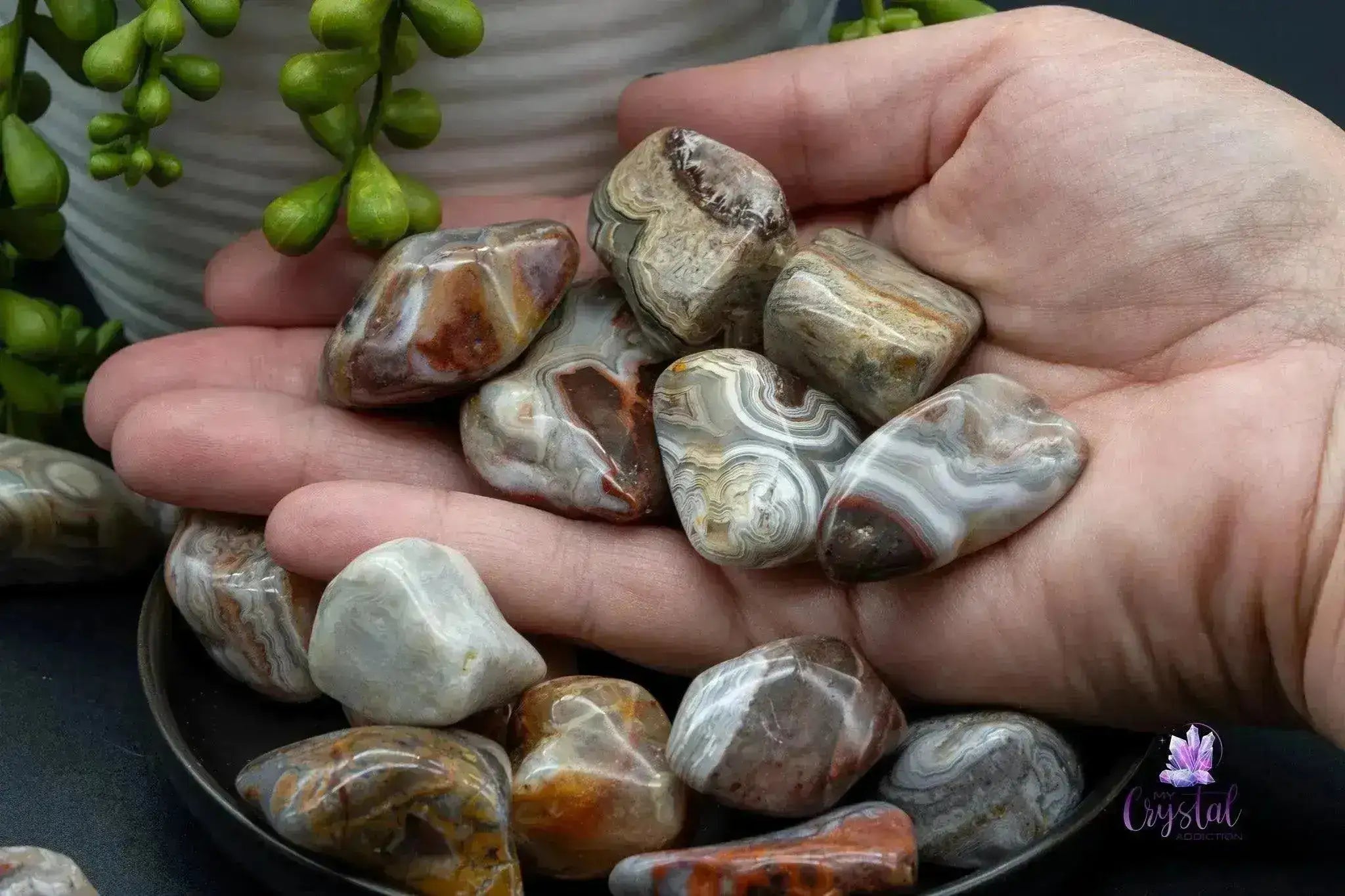 Crazy Lace Agate Tumble - My Crystal Addiction