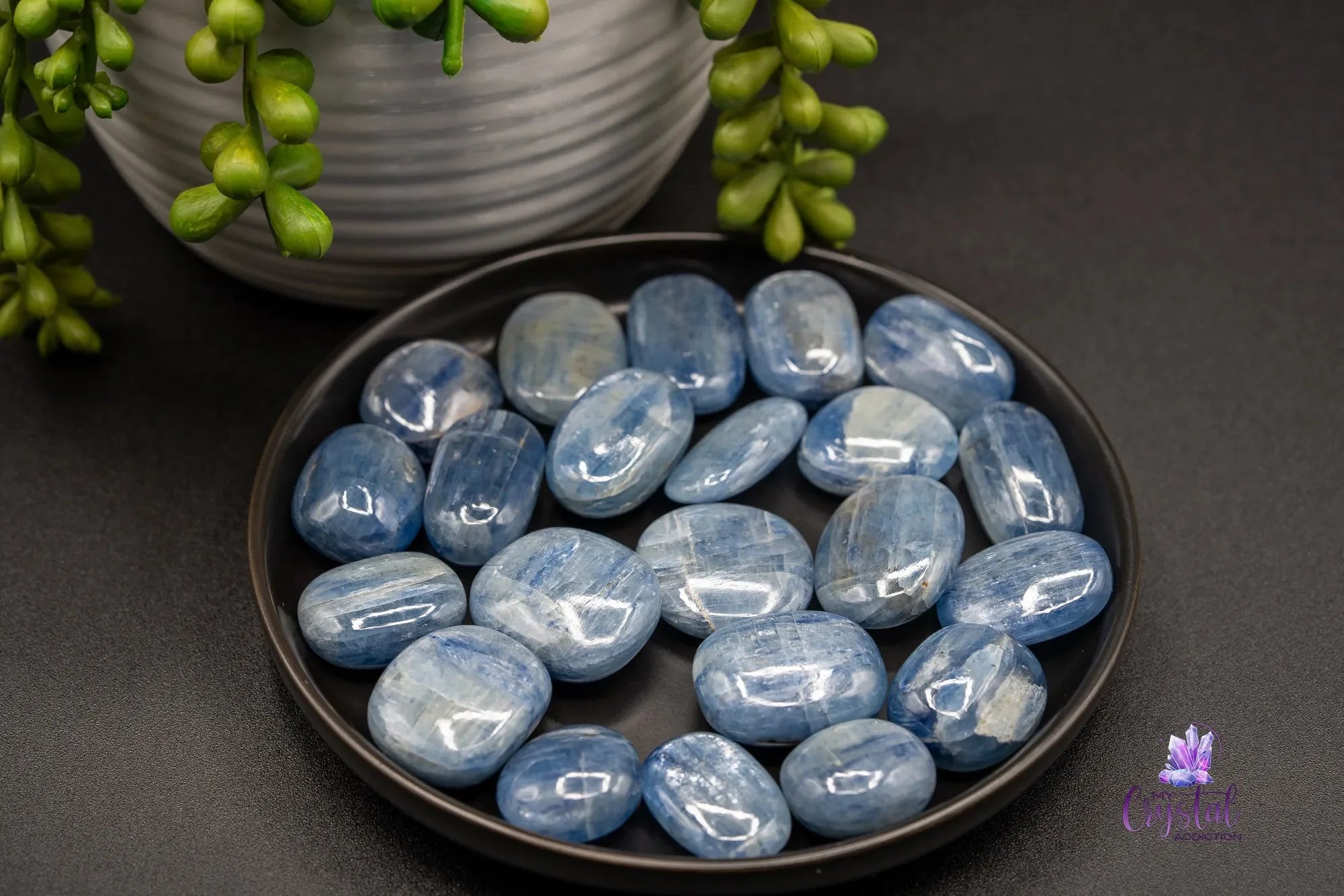 High Quality Blue Kyanite Mini Palm Stone - from Brazil - My Crystal Addiction