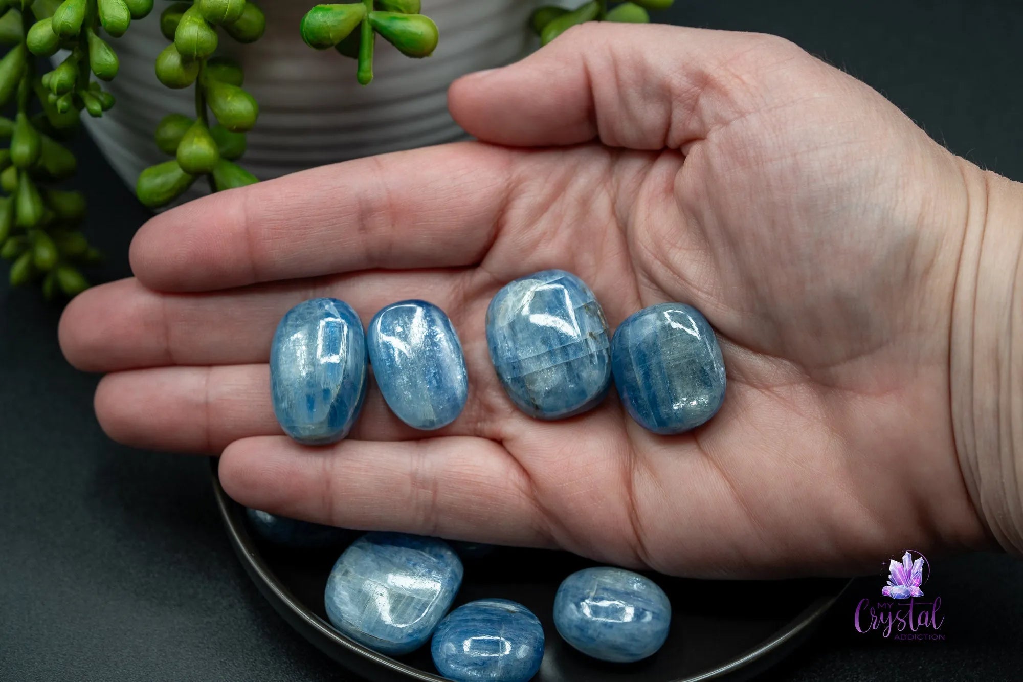 High Quality Blue Kyanite Mini Palm Stone - from Brazil - My Crystal Addiction