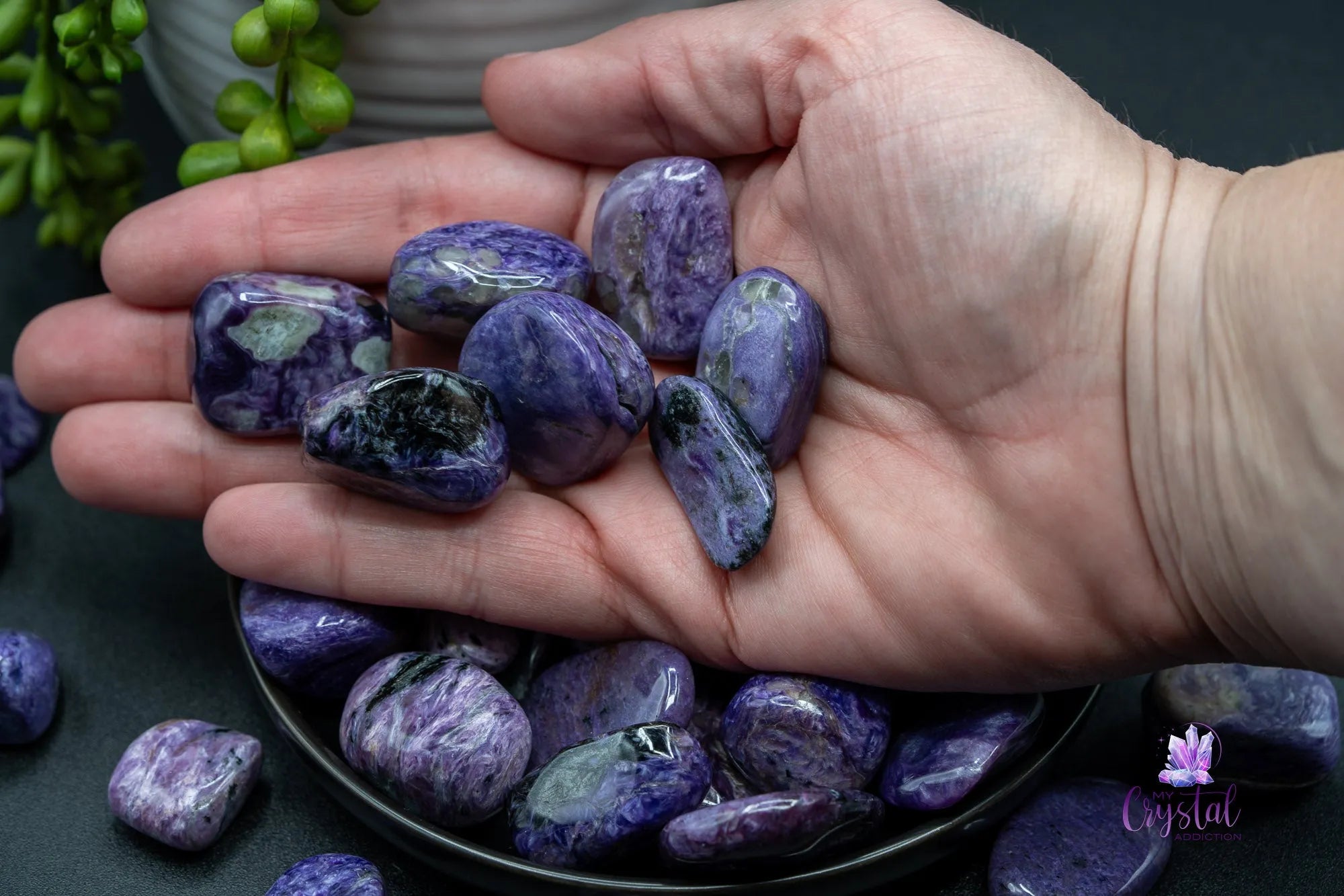 High Quality Charoite Tumble - My Crystal Addiction