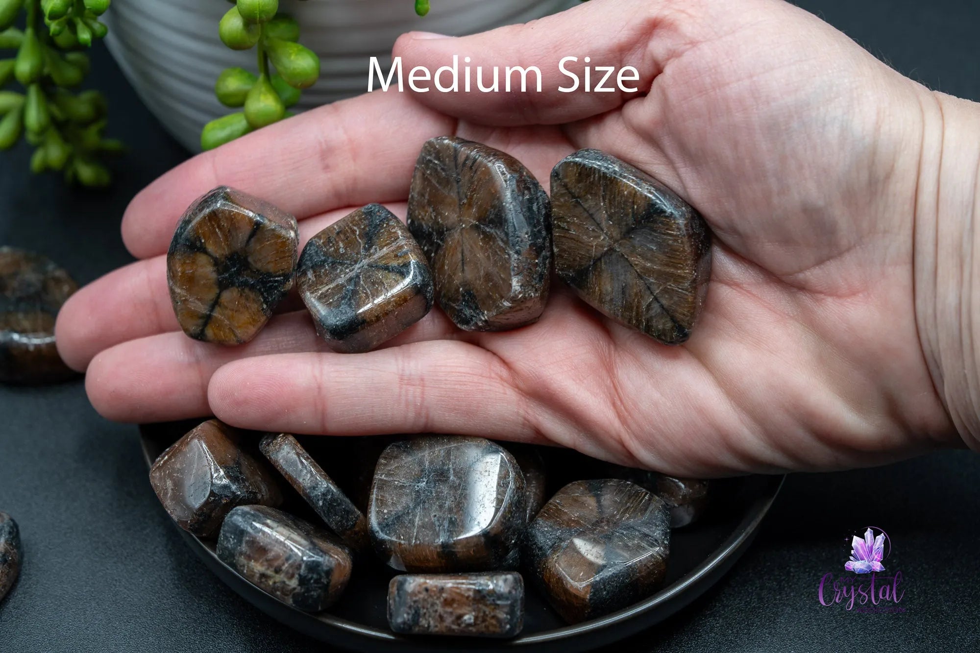 Chiastolite Tumble - My Crystal Addiction