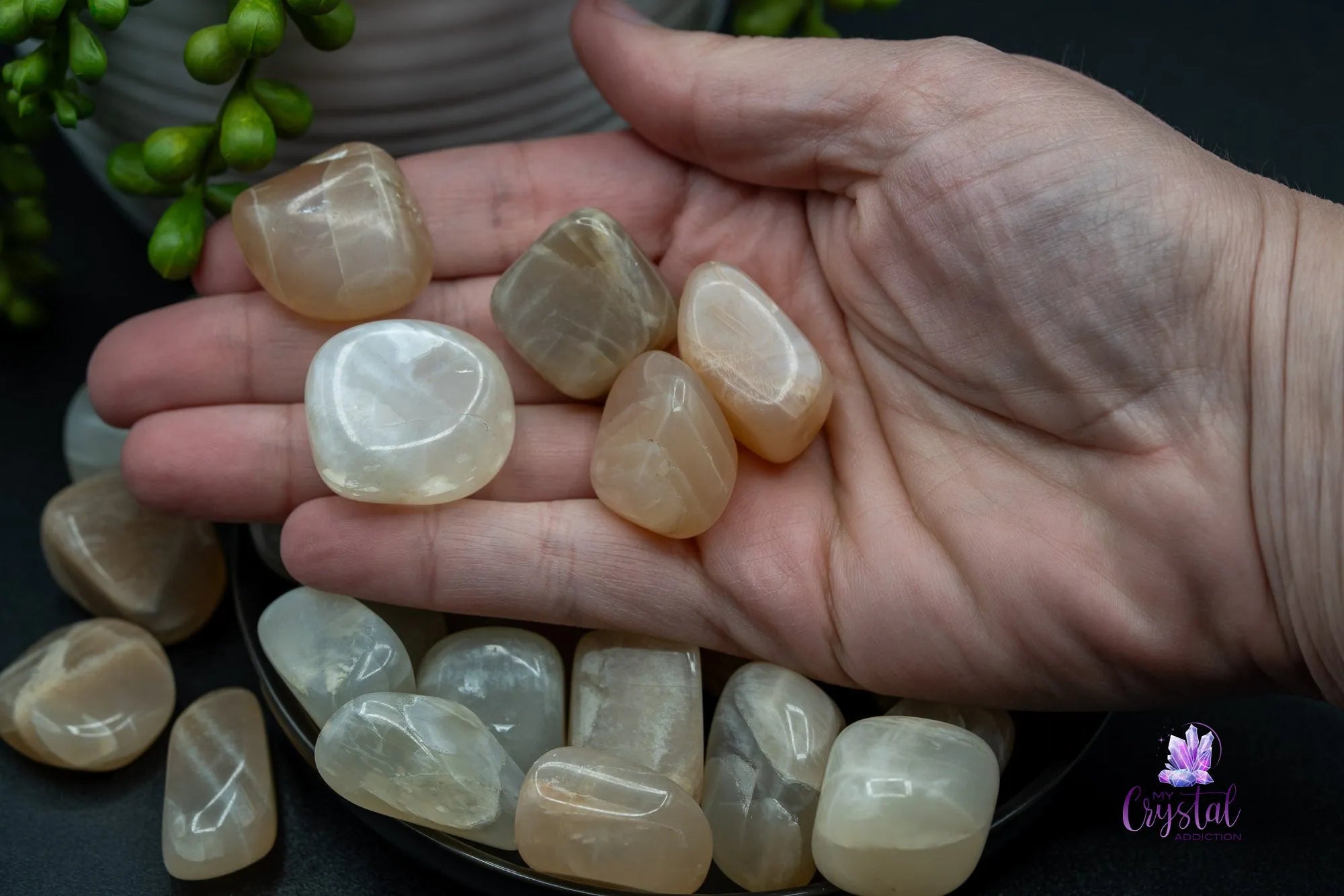 High Quality Moonstone Tumble - My Crystal Addiction