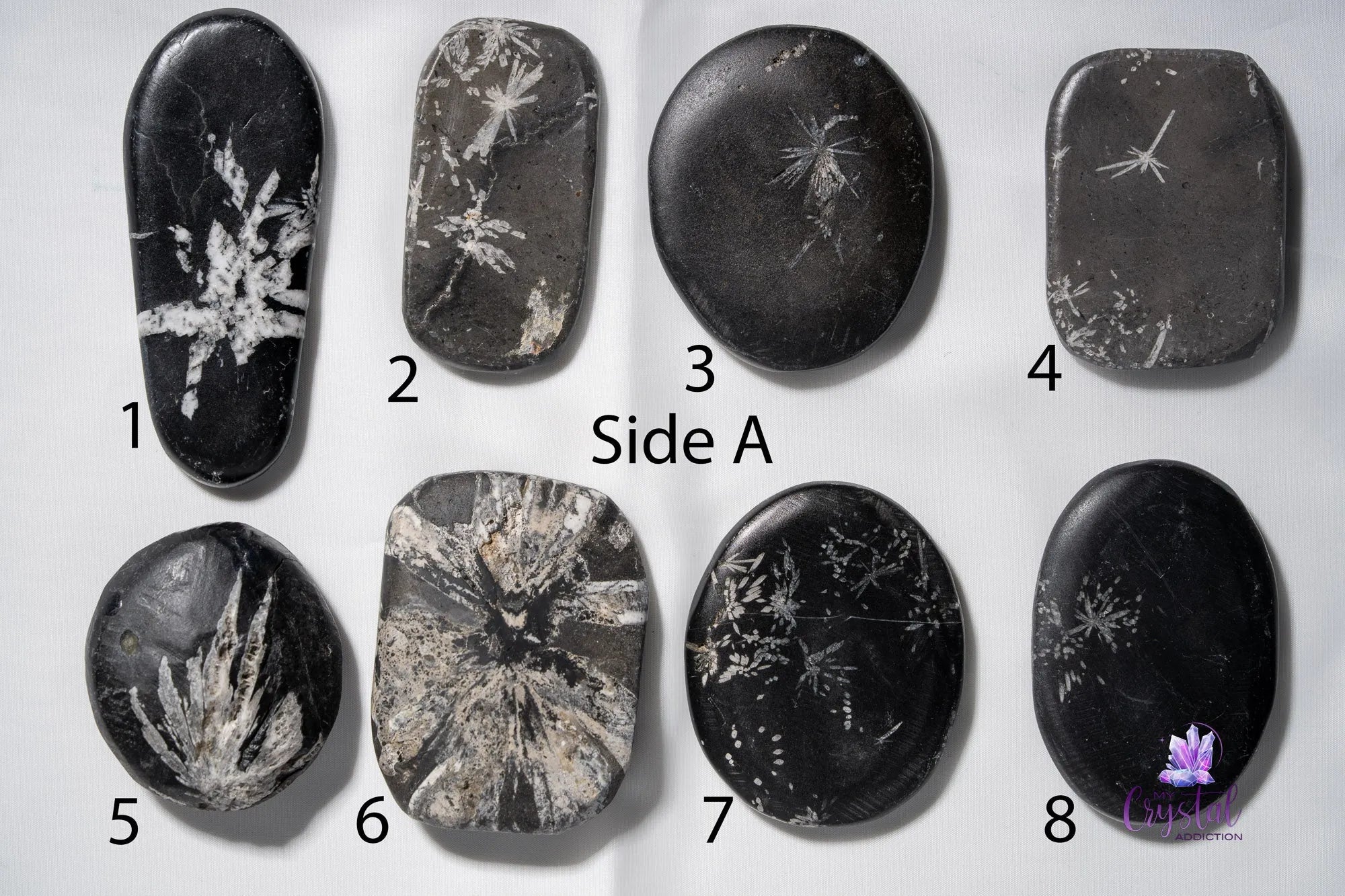 Chrysanthemum Stone Palm Stone - My Crystal Addiction