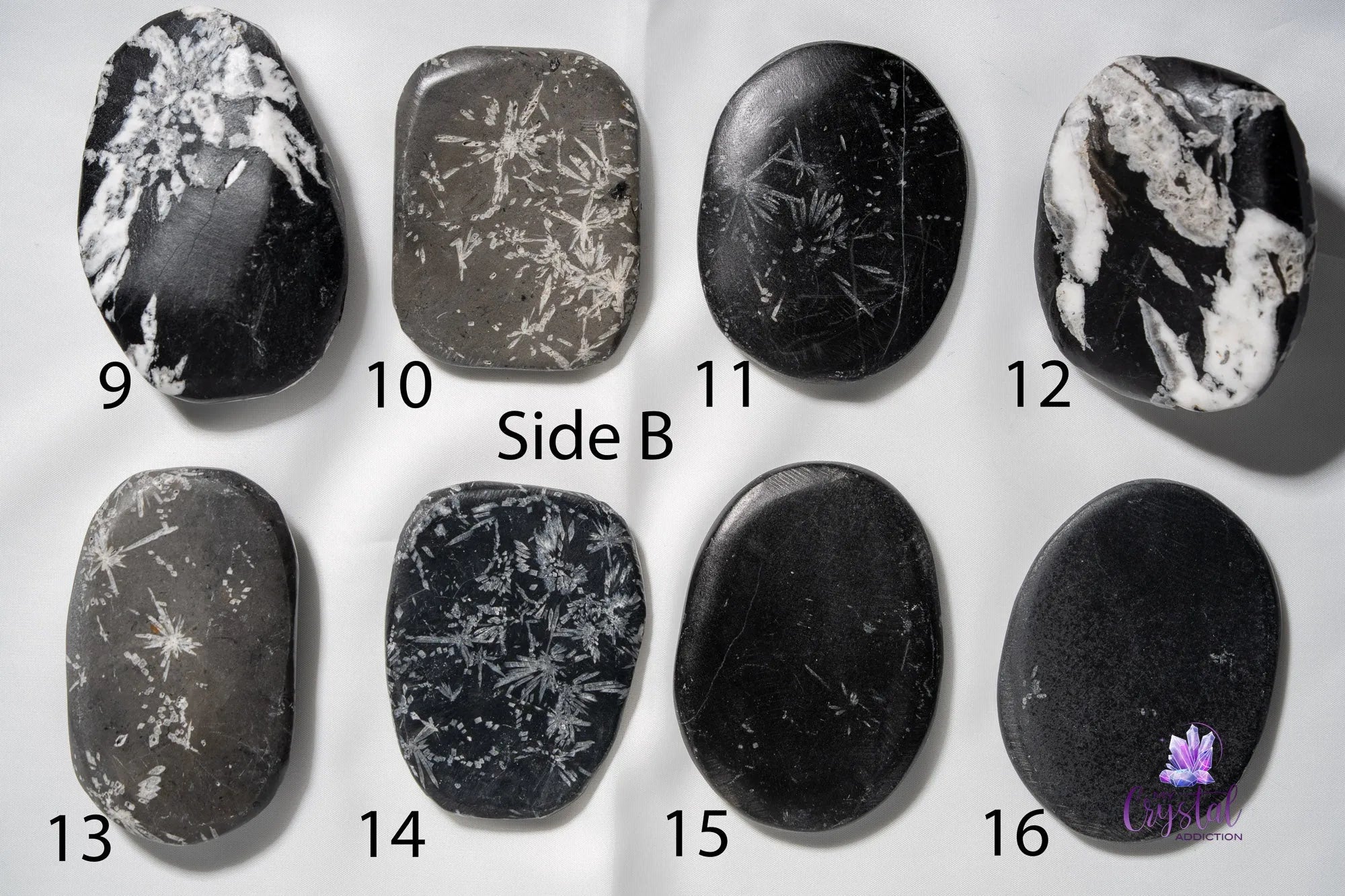 Chrysanthemum Stone Palm Stone - My Crystal Addiction
