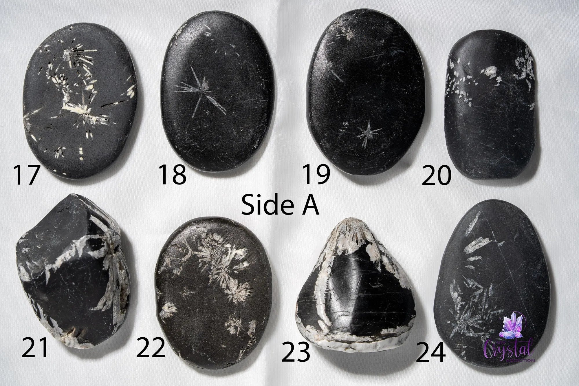 Chrysanthemum Stone Palm Stone - My Crystal Addiction
