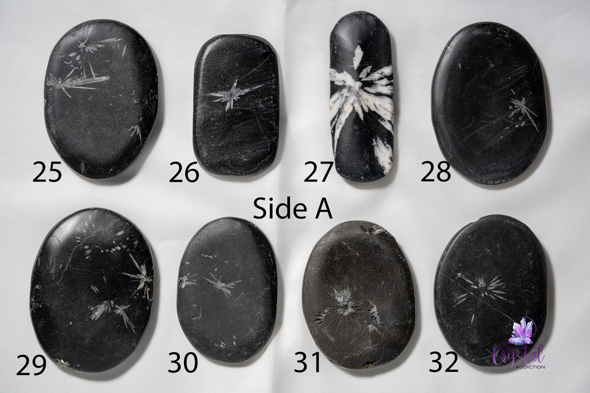Chrysanthemum Stone Palm Stone - My Crystal Addiction