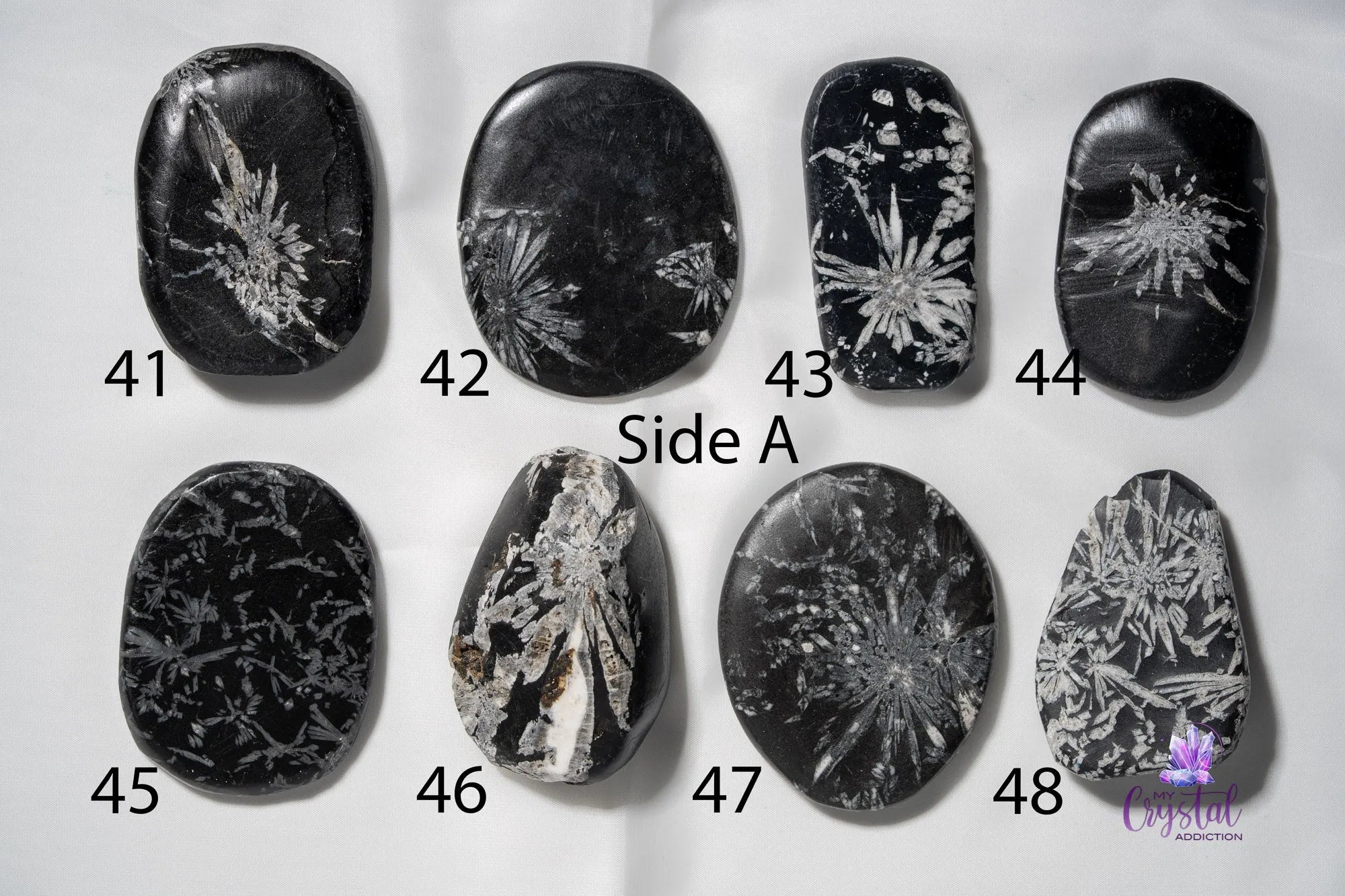 Chrysanthemum Stone Palm Stone - My Crystal Addiction