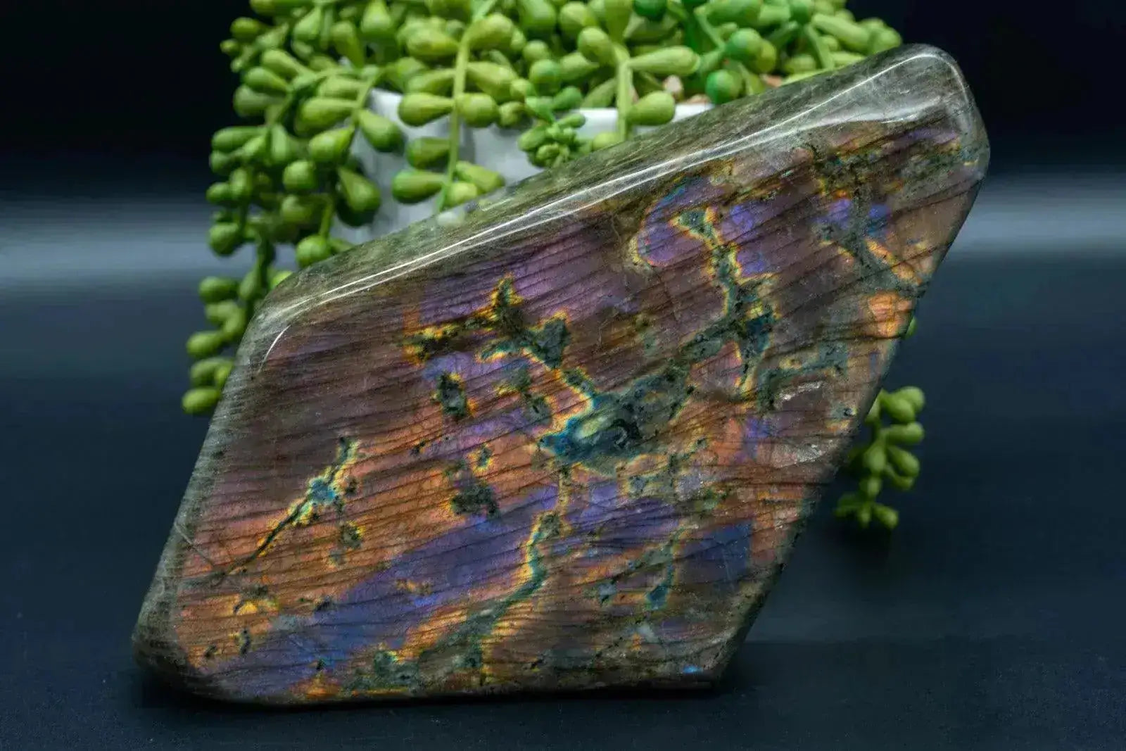 Labradorite Free-Form Orange/Purple Flash 8.2"x4.3" - My Crystal Addiction