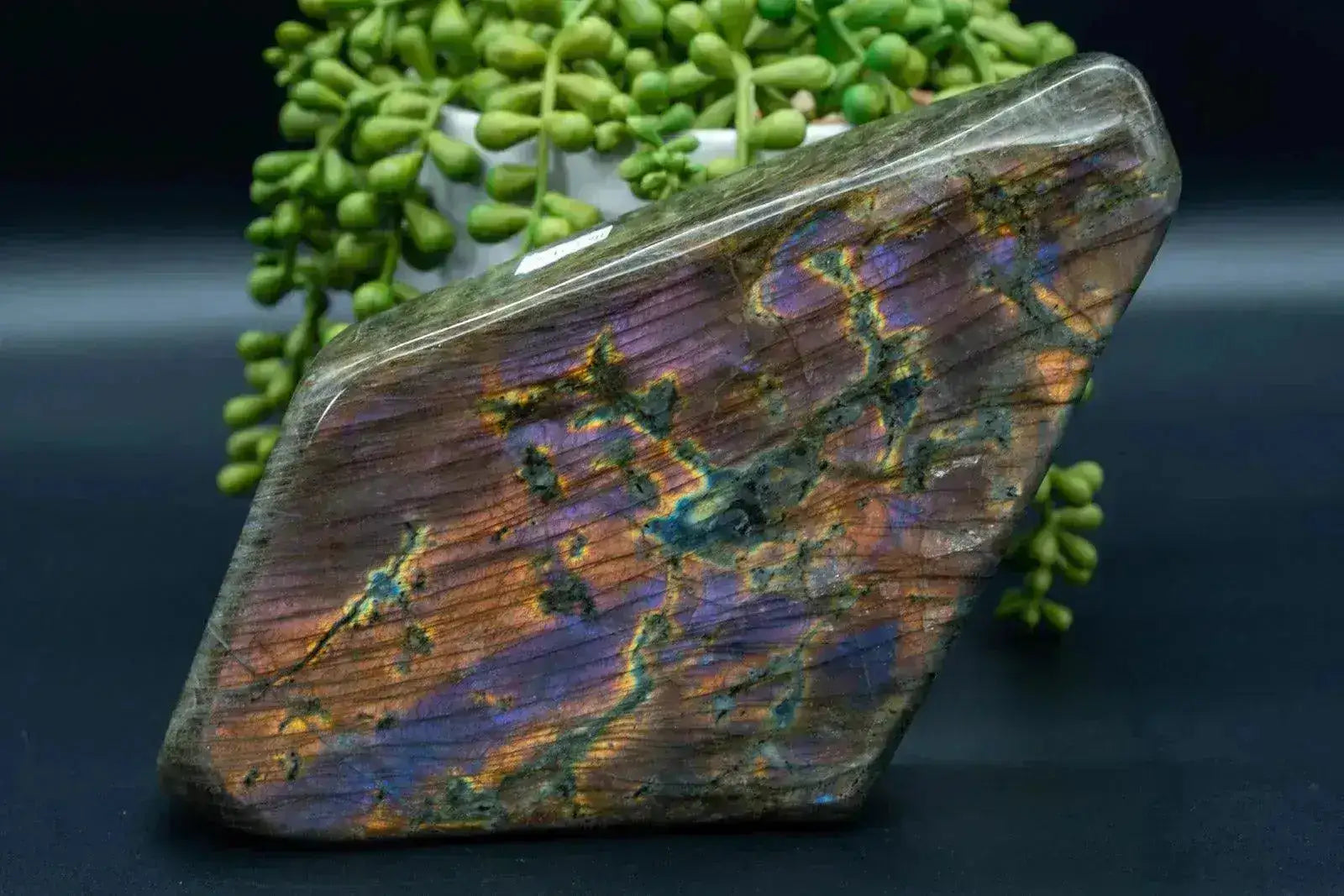 Labradorite Free-Form Orange/Purple Flash 8.2"x4.3" - My Crystal Addiction