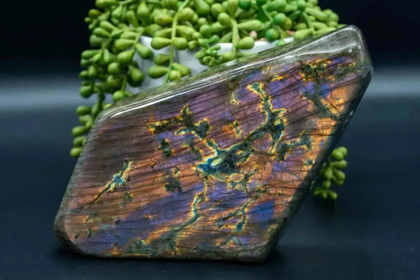 Labradorite Free-Form Orange/Purple Flash 8.2"x4.3" - My Crystal Addiction