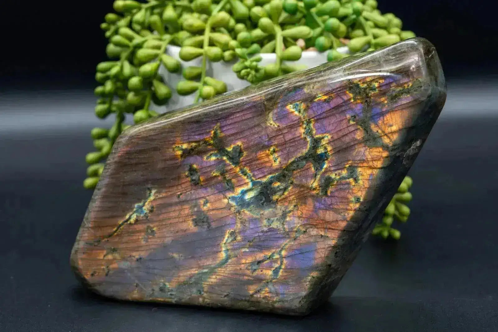Labradorite Free-Form Orange/Purple Flash 8.2"x4.3" - My Crystal Addiction