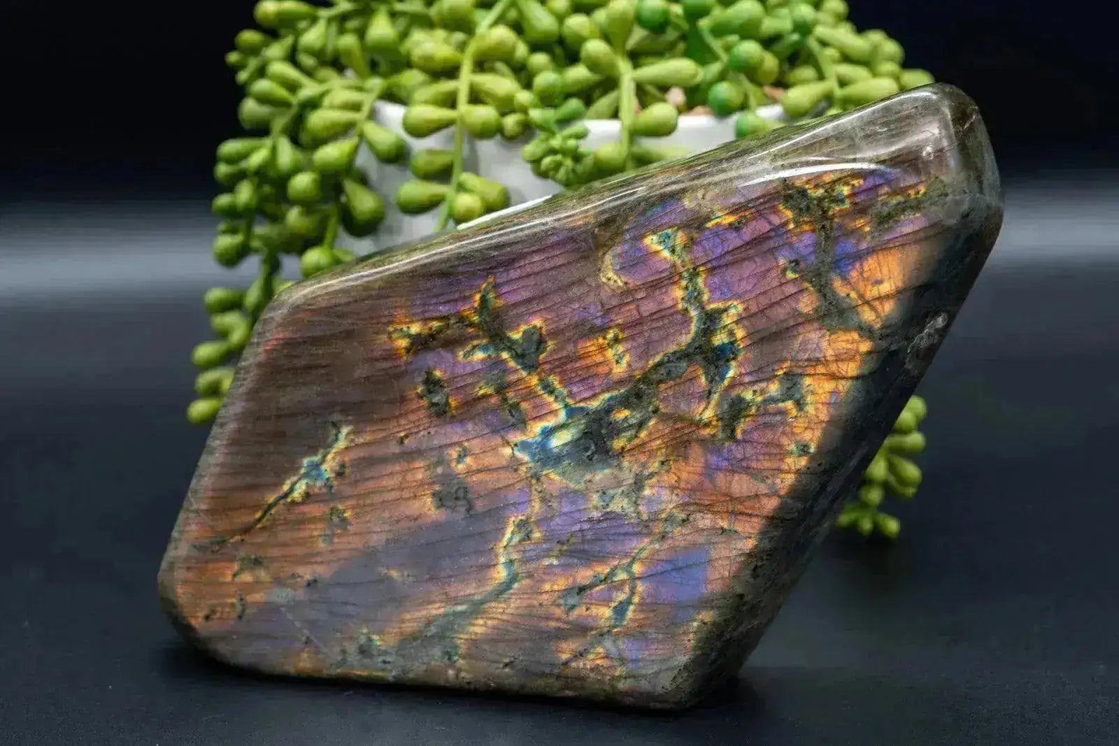 Labradorite Free-Form Orange/Purple Flash 8.2"x4.3" - My Crystal Addiction