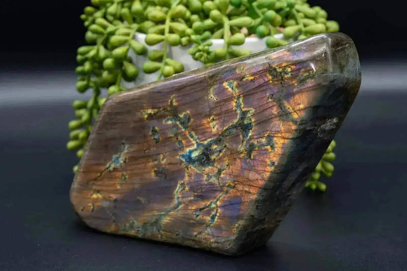 Labradorite Free-Form Orange/Purple Flash 8.2"x4.3" - My Crystal Addiction