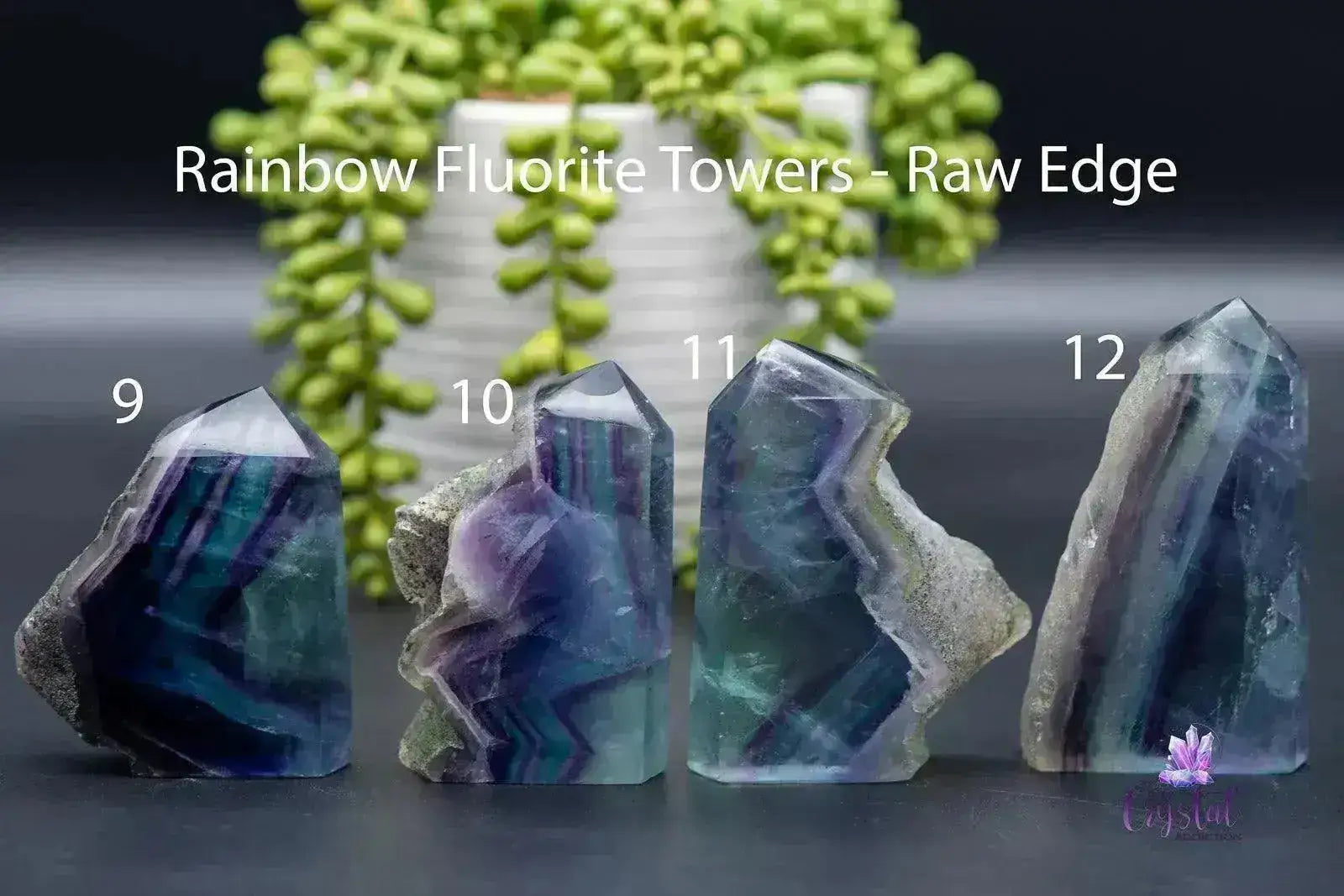 Fluorite Tower - Rainbow w/Raw Edge 2.6"4.4"/66mm-113mm - My Crystal Addiction