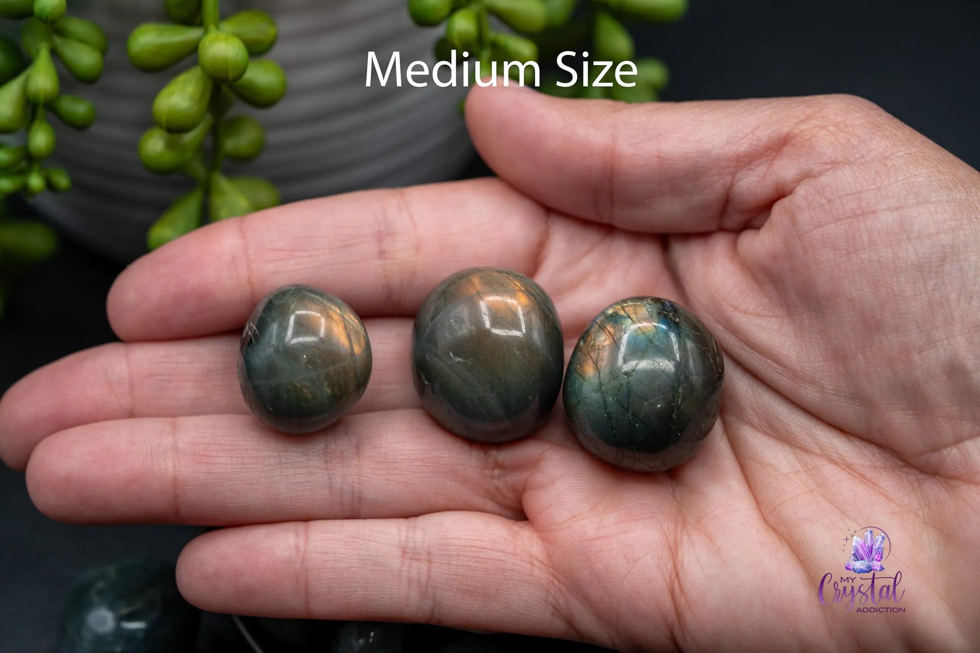 High Quality Labradorite Tumble - My Crystal Addiction