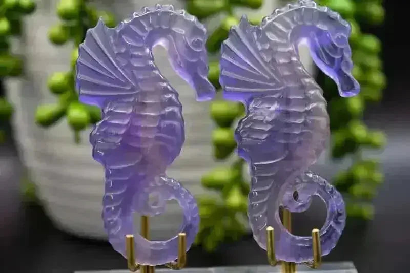 Fluorite Carving - Purple Seahorse - 3" - My Crystal Addiction