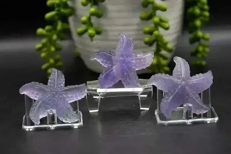 Fluorite - Purple Starfish - My Crystal Addiction