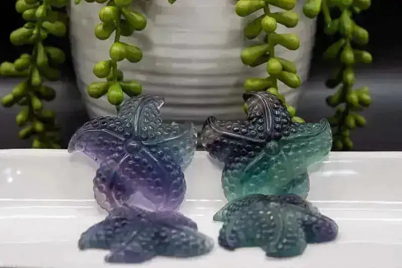 Fluorite Carving - Rainbow Starfish 2" - My Crystal Addiction