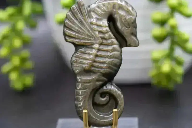 Gold Sheen Obsidian - Seahorse - My Crystal Addiction