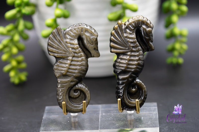 Gold Sheen Obsidian Seahorse Carving - Root Chakra - My Crystal Addiction
