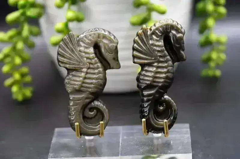 Gold Sheen Obsidian - Seahorse - My Crystal Addiction