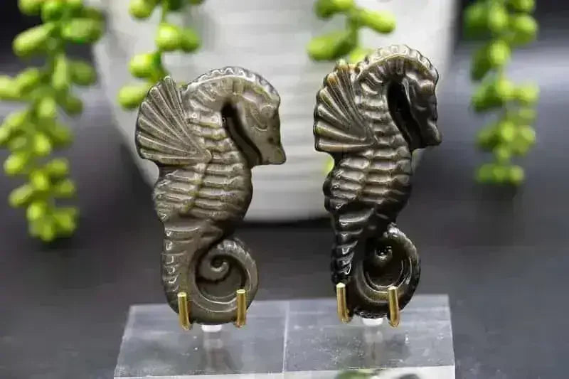 Gold Sheen Obsidian Spiral Shell Carving - Root Chakra - My Crystal Addiction
