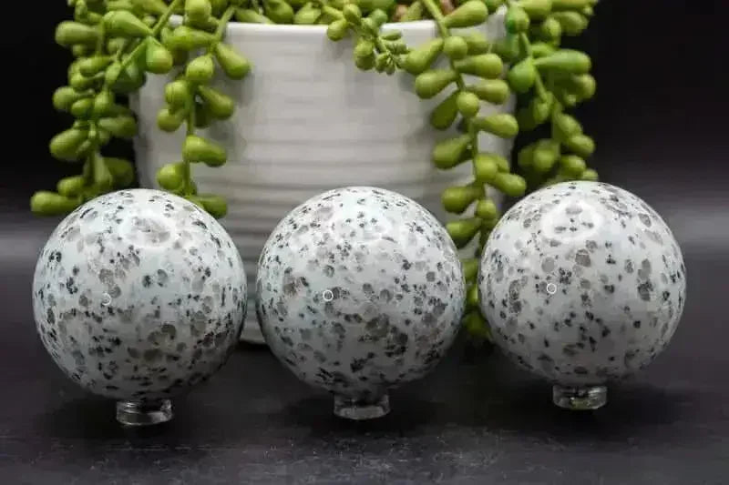 Kiwi Jasper Sphere 2.4" - My Crystal Addiction