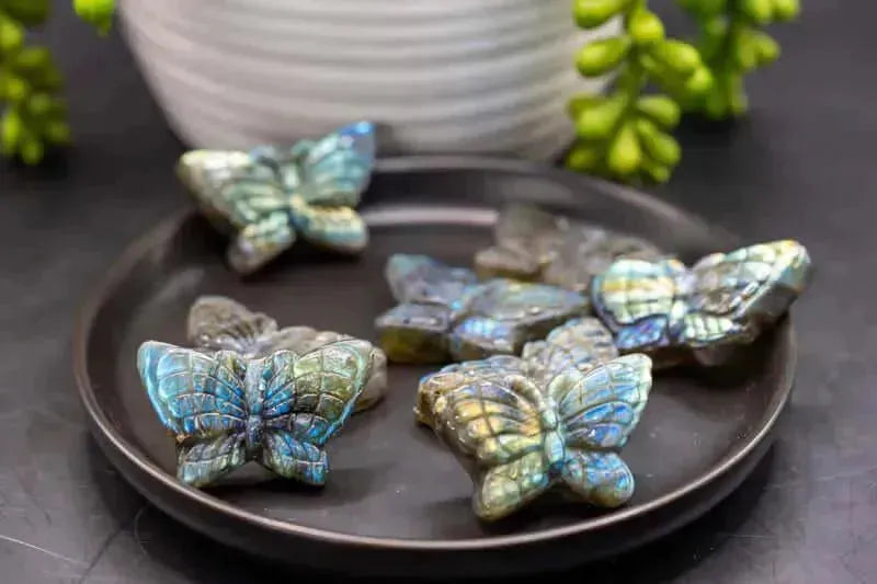 Labradorite Carving - Butterfly - 0.5" - My Crystal Addiction