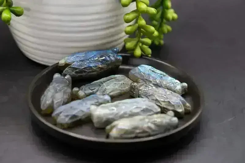 Labradorite Cicada Carving - Throat Chakra - My Crystal Addiction