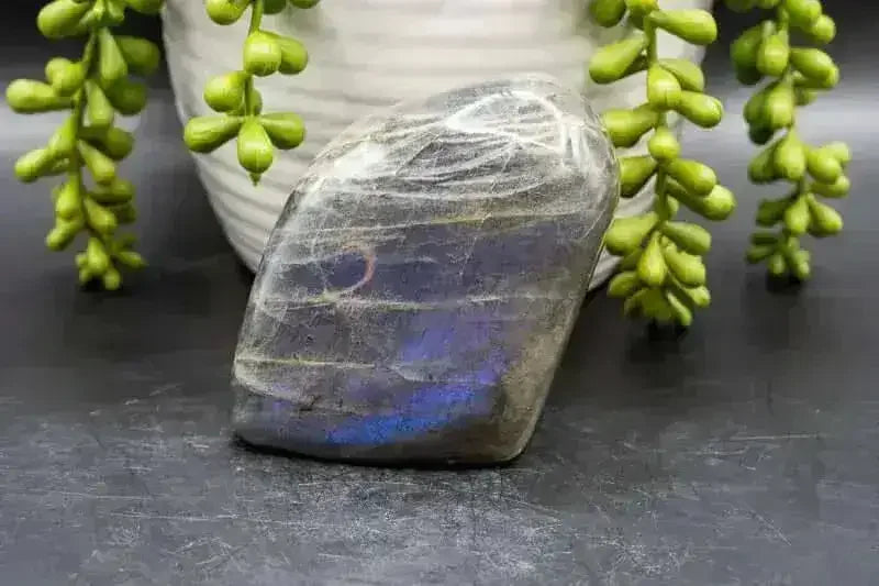Labradorite Free-Form - Purple/Blue Flash 2.5"x3" - My Crystal Addiction