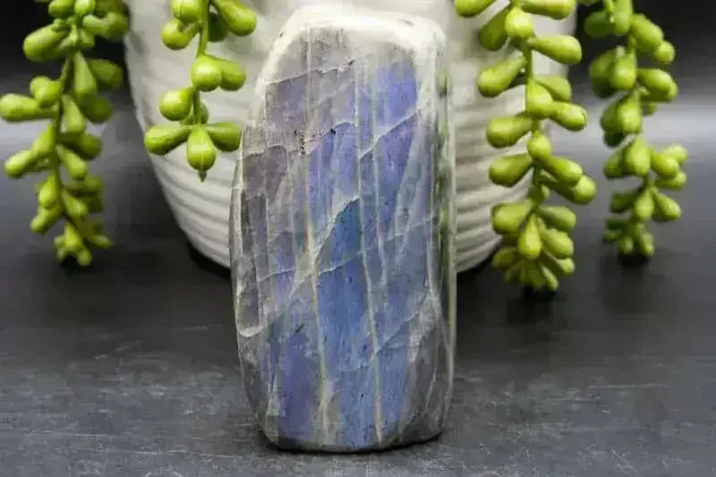 Labradorite Free-Form - Purple/Blue Flash 2"x4" - My Crystal Addiction