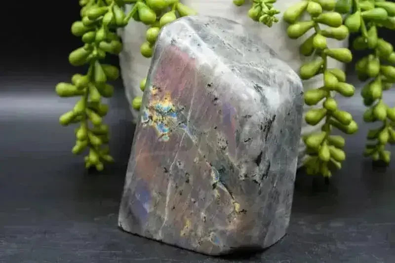 Labradorite Free-Form - Purple/Pink Flash 2.5"x4" - My Crystal Addiction