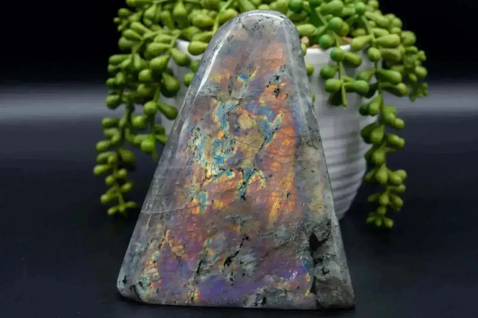 Labradorite Free-Form - Purple/Pink Flash 5.5"x4.5" - My Crystal Addiction