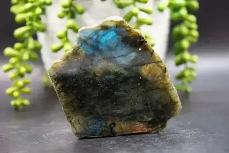 Labradorite Free-form - Blue Flash / Polished Front - My Crystal Addiction