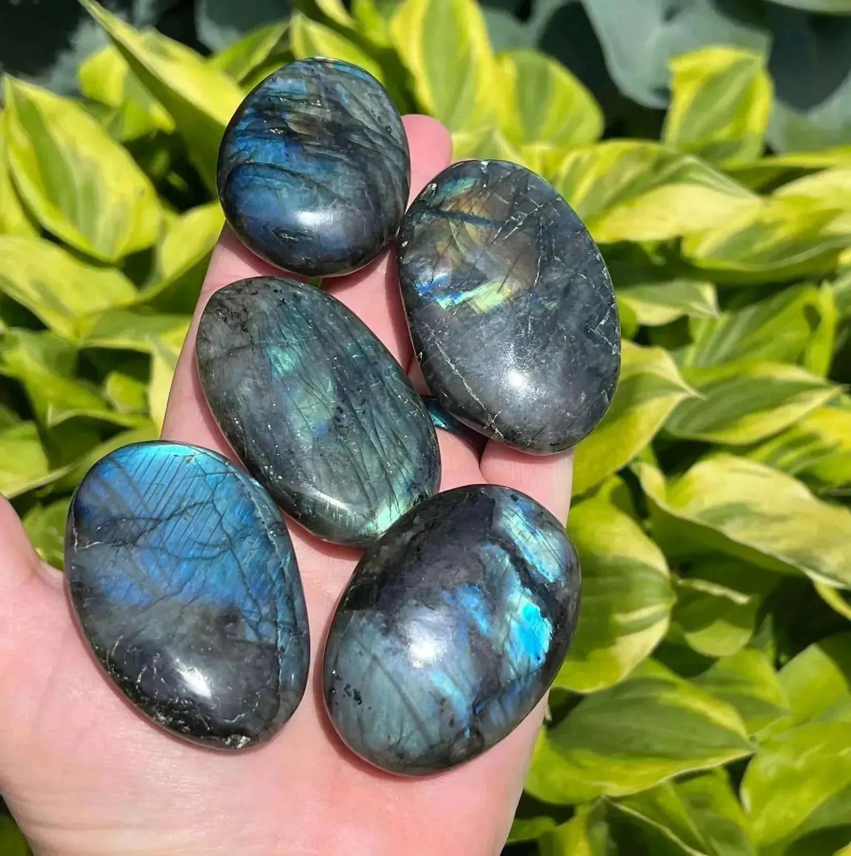 Labradorite Palm - Blue Flash - My Crystal Addiction