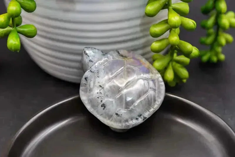 Labradorite Carving - Purple Flash - Turtle - My Crystal Addiction