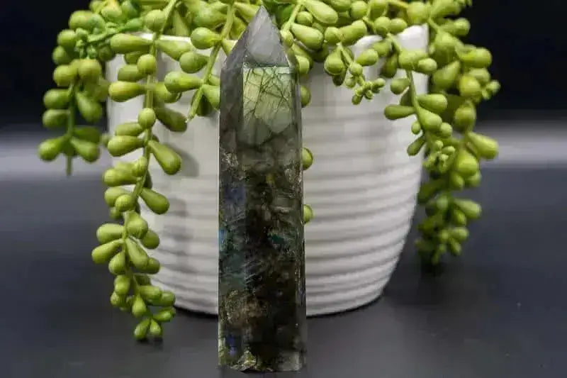 Labradorite Tower 4.75" - My Crystal Addiction