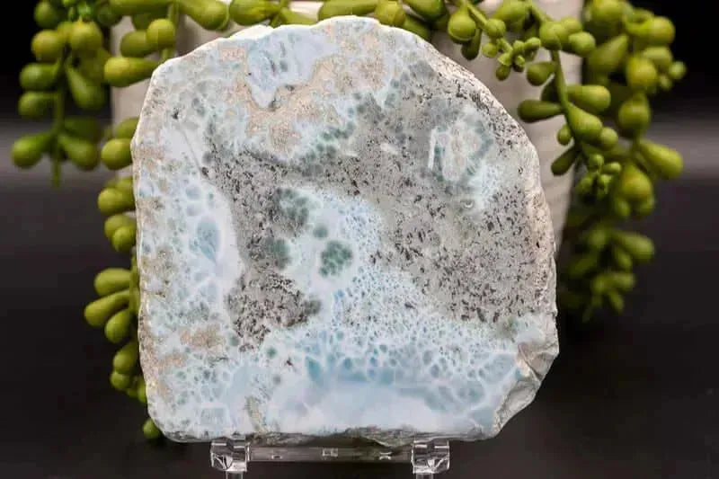 Larimar Slice 4"x3.5" - My Crystal Addiction
