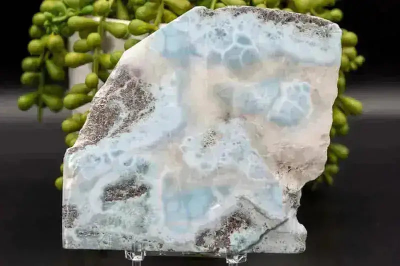 Larimar Slice 4"x4.5" - My Crystal Addiction