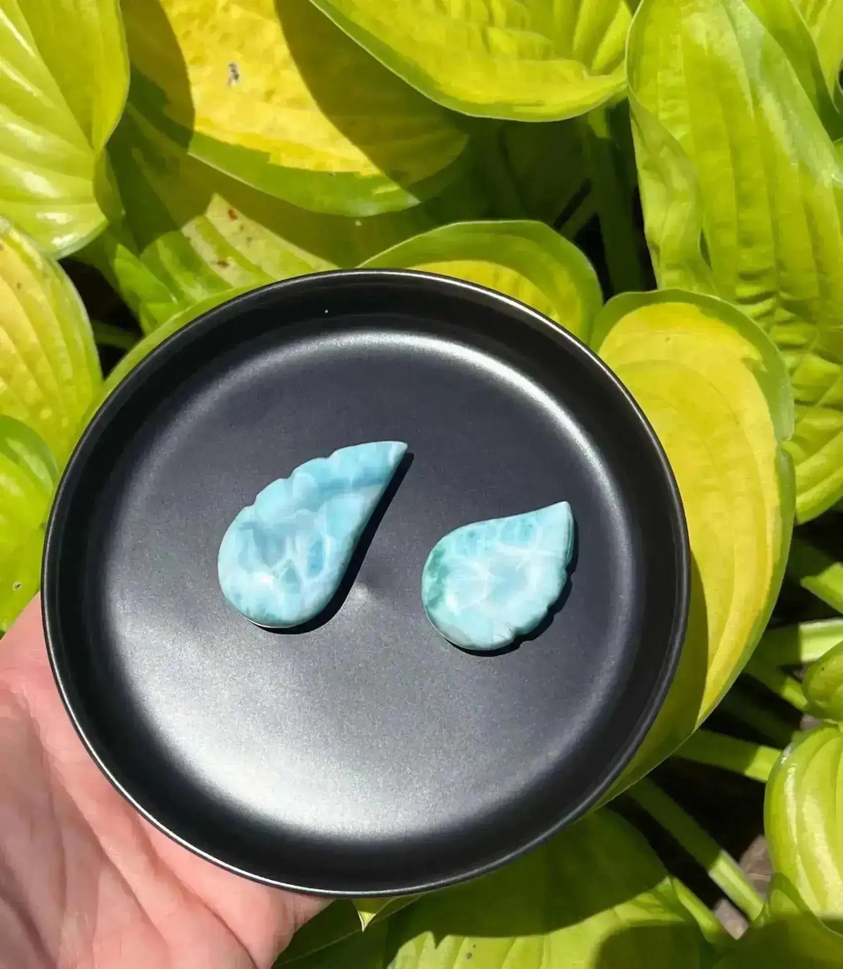 Larimar Wing Carving - 1-1.5" - My Crystal Addiction